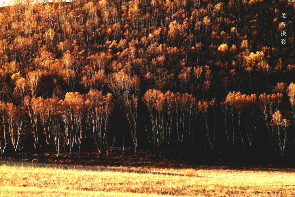 _MG_4290.JPG
