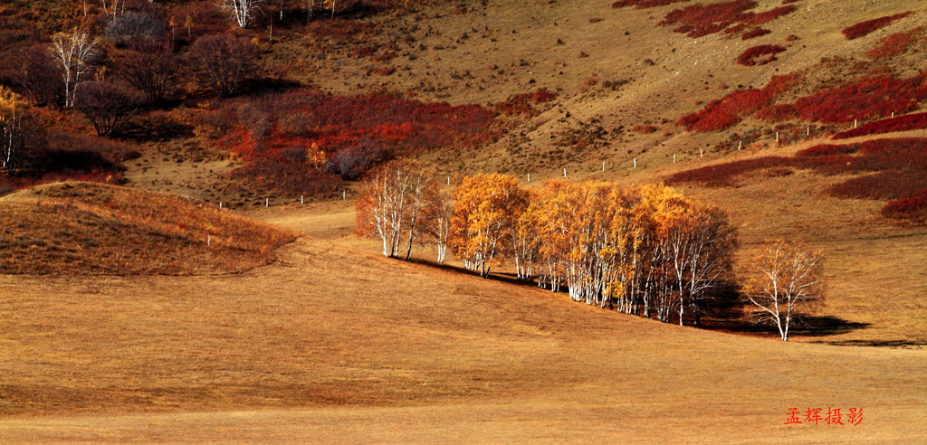 _MG_4342.JPG