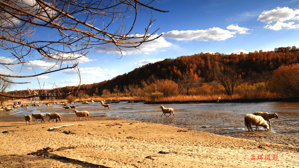 _MG_4458.JPG
