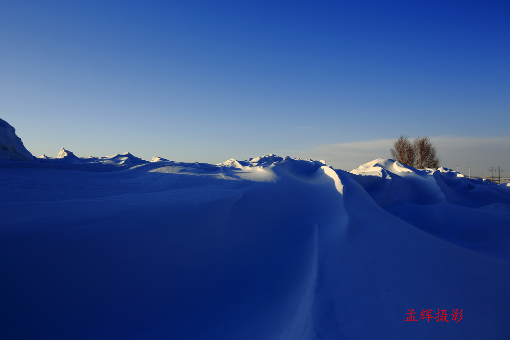 _Y6B7555.JPG
