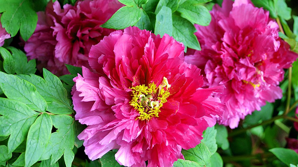 DSC_1228_副本.jpg