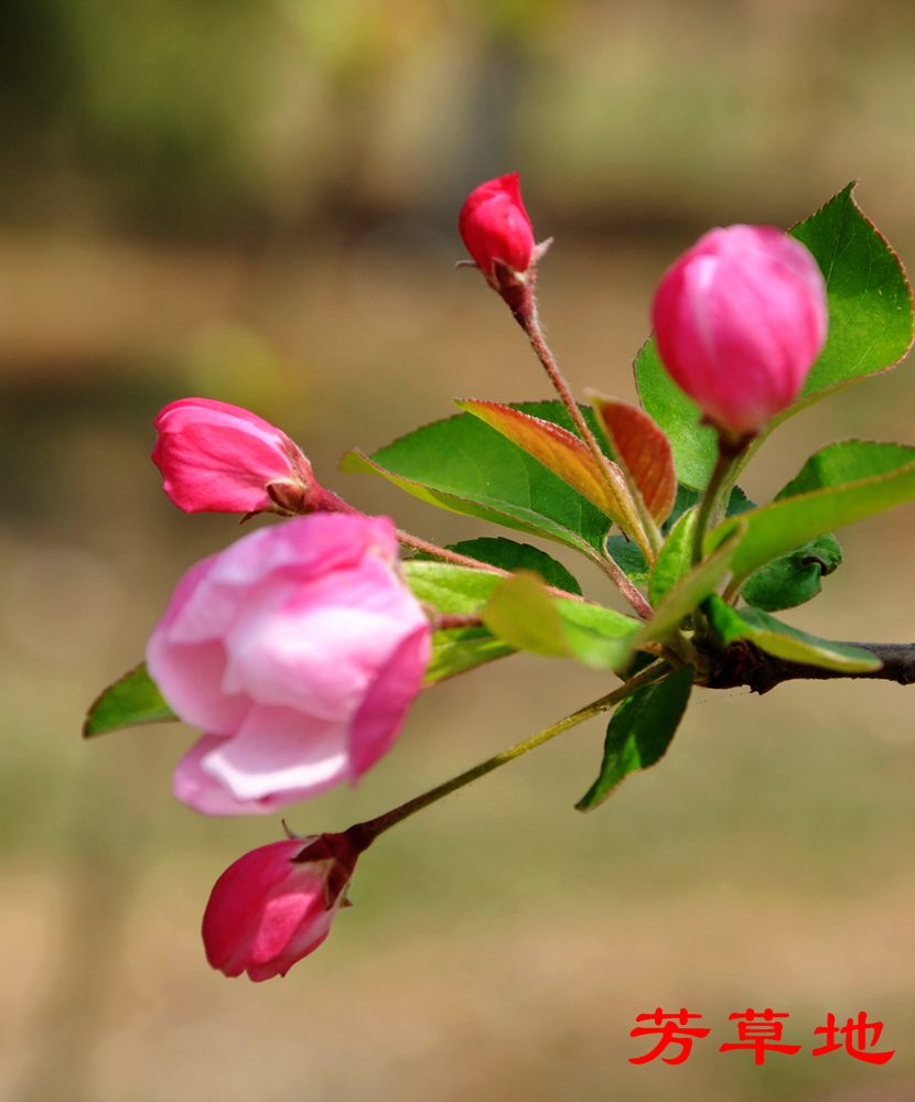 DSC_2735.jpg