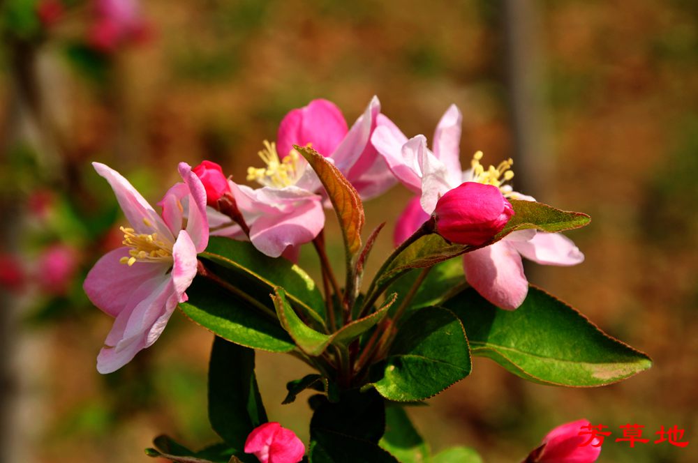 DSC_2744.jpg