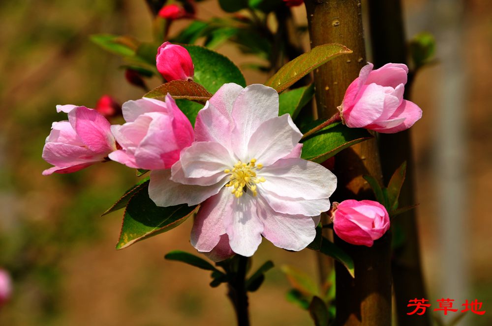 DSC_2746.jpg