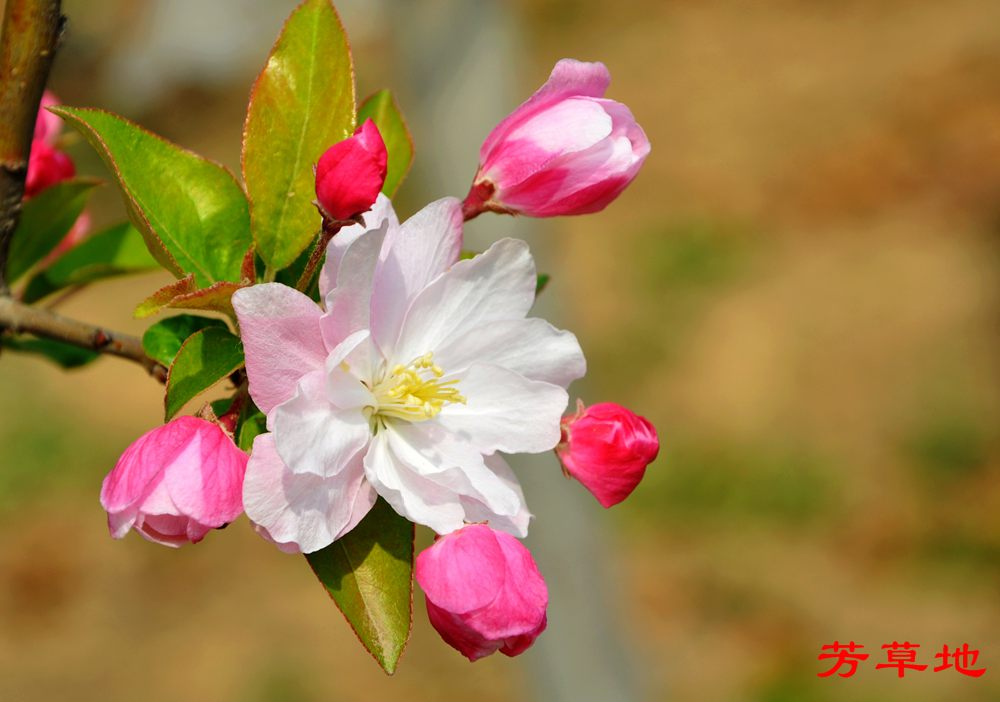 DSC_2759.jpg