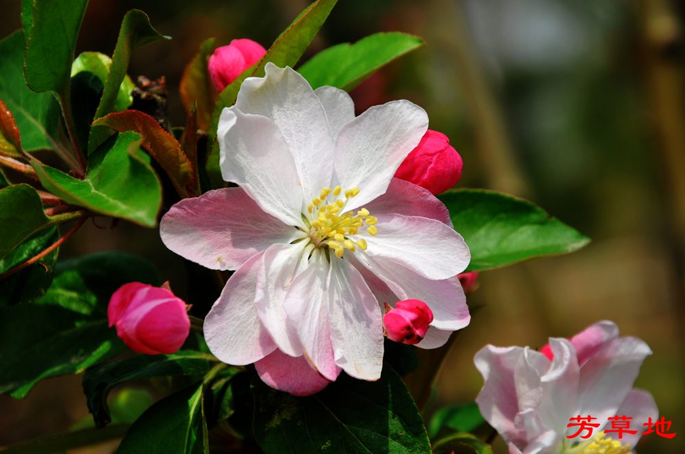DSC_2765.jpg