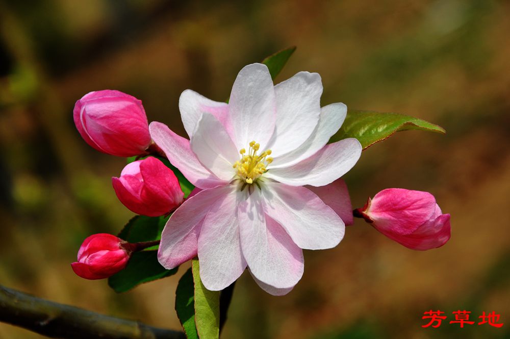 DSC_2766.jpg