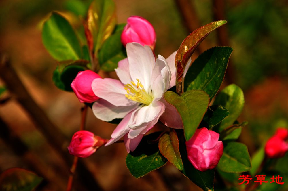 DSC_2769.jpg