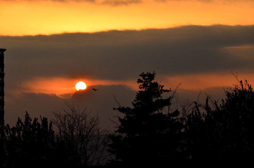 DSC_1977.JPG