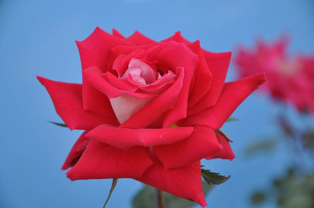 nEO_IMG_DSC_0853.jpg