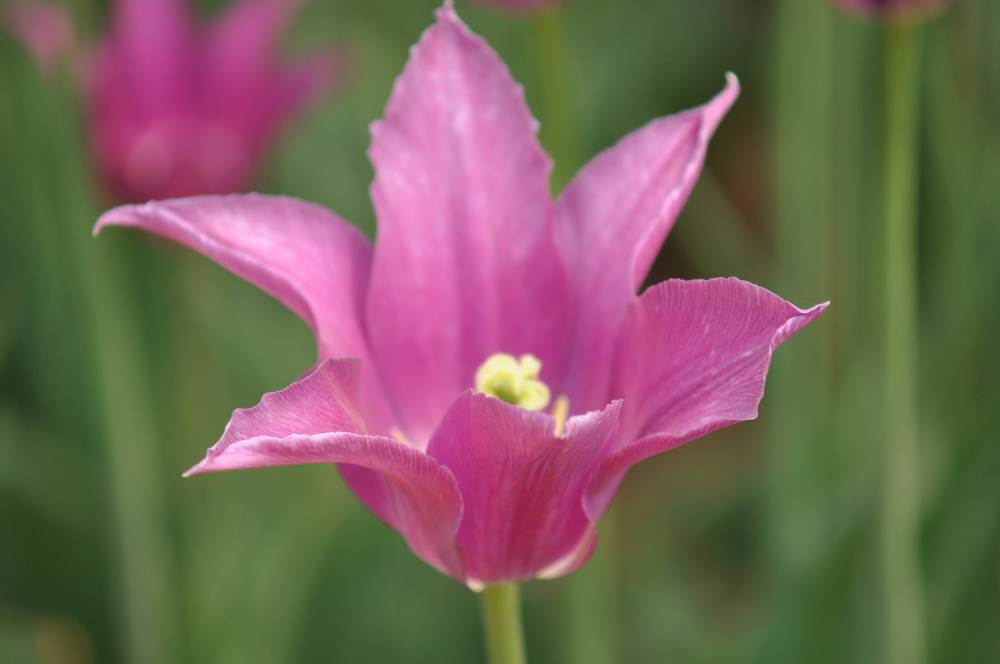 nEO_IMG_DSC_0976.jpg