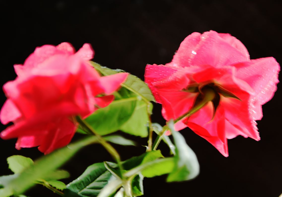 DSC_8201.JPG