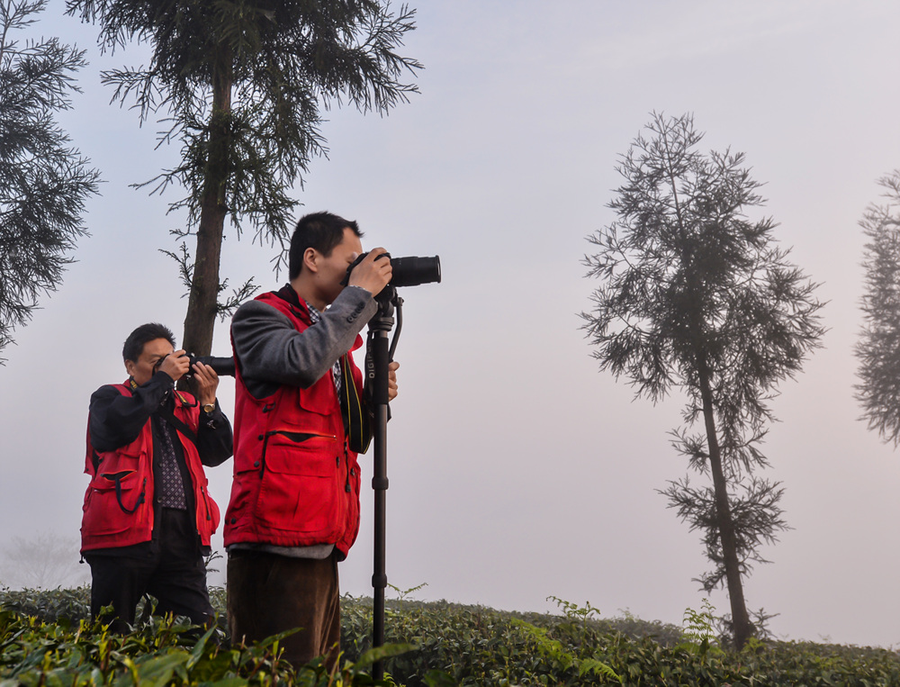 中国旅游摄影网南充站走进洪雅采风