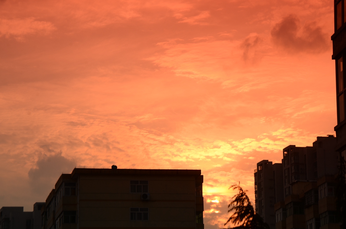 00C_4142.JPG
