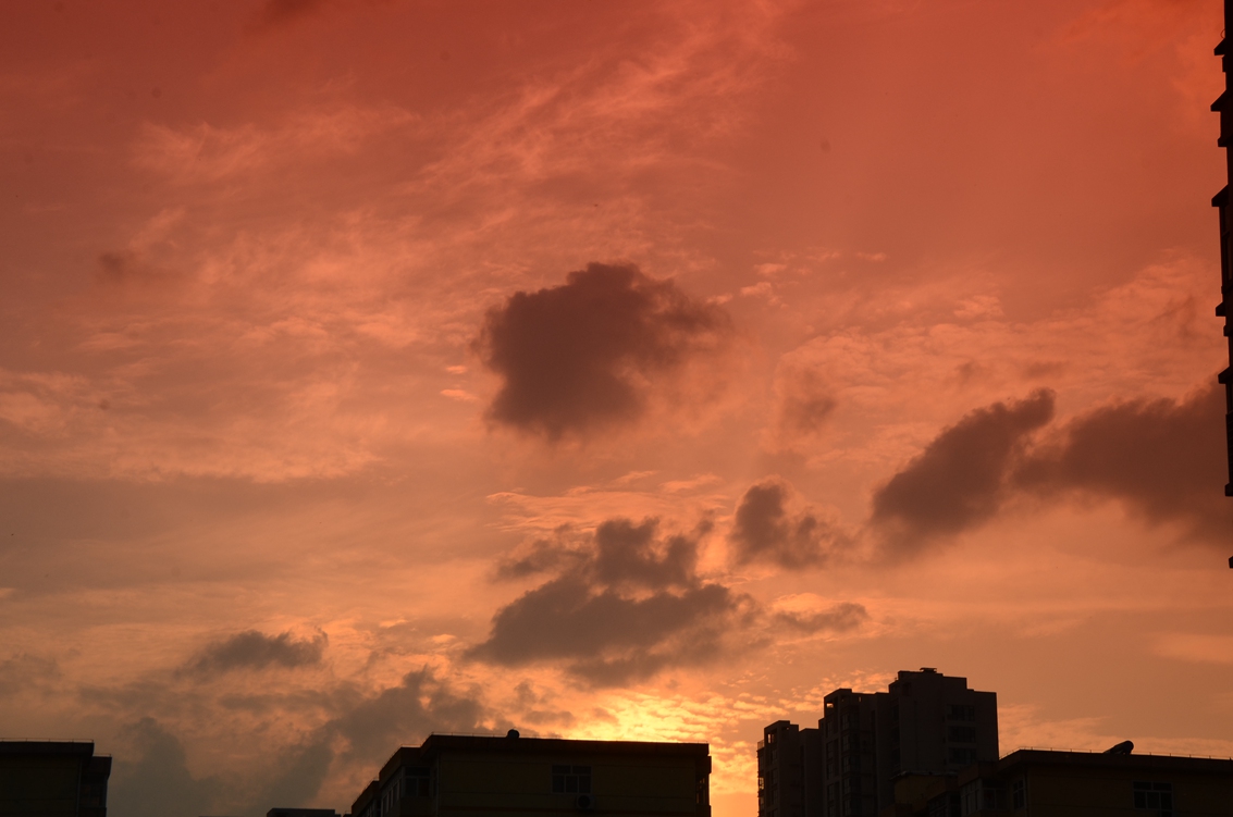 00C_4139.JPG