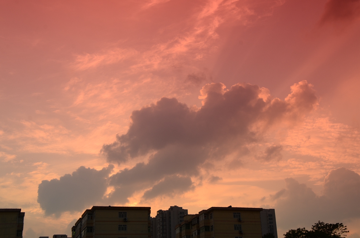 00C_4146.JPG