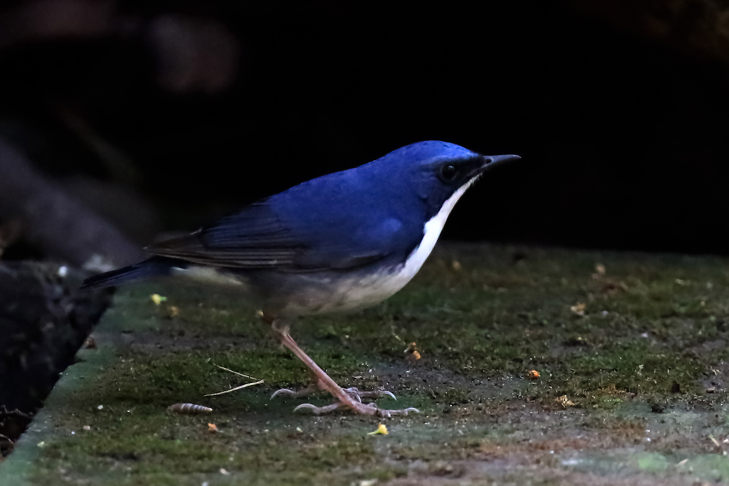 009A5555.jpg