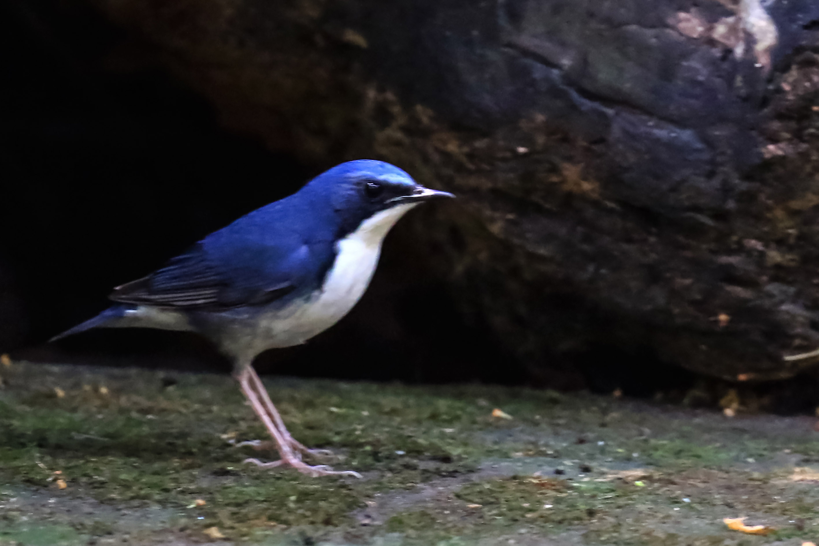 009A5522.jpg