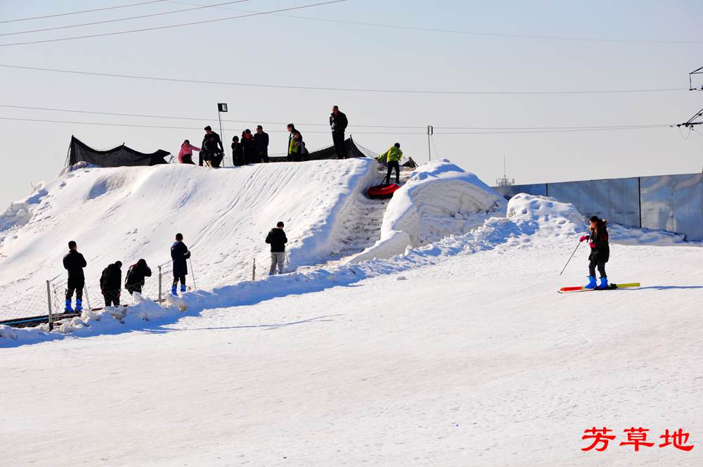 DSC_8826.jpg
