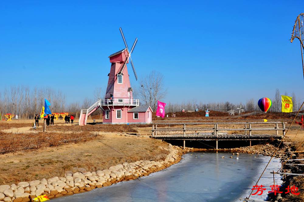 DSC_8827.jpg
