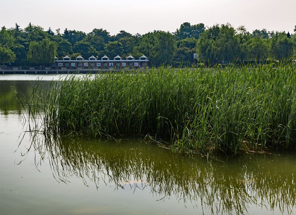 8E6A5948_副本.jpg