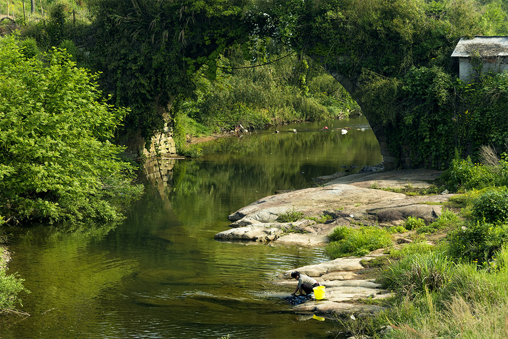 IMGP6917.jpg