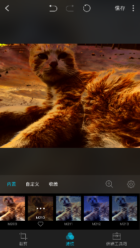 IMG_1764.PNG