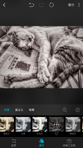 IMG_1732.PNG