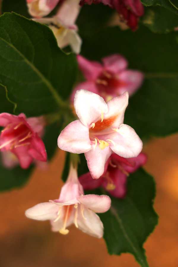 IMG_5614.JPG