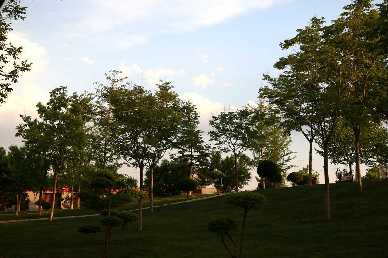 IMG_5621.JPG