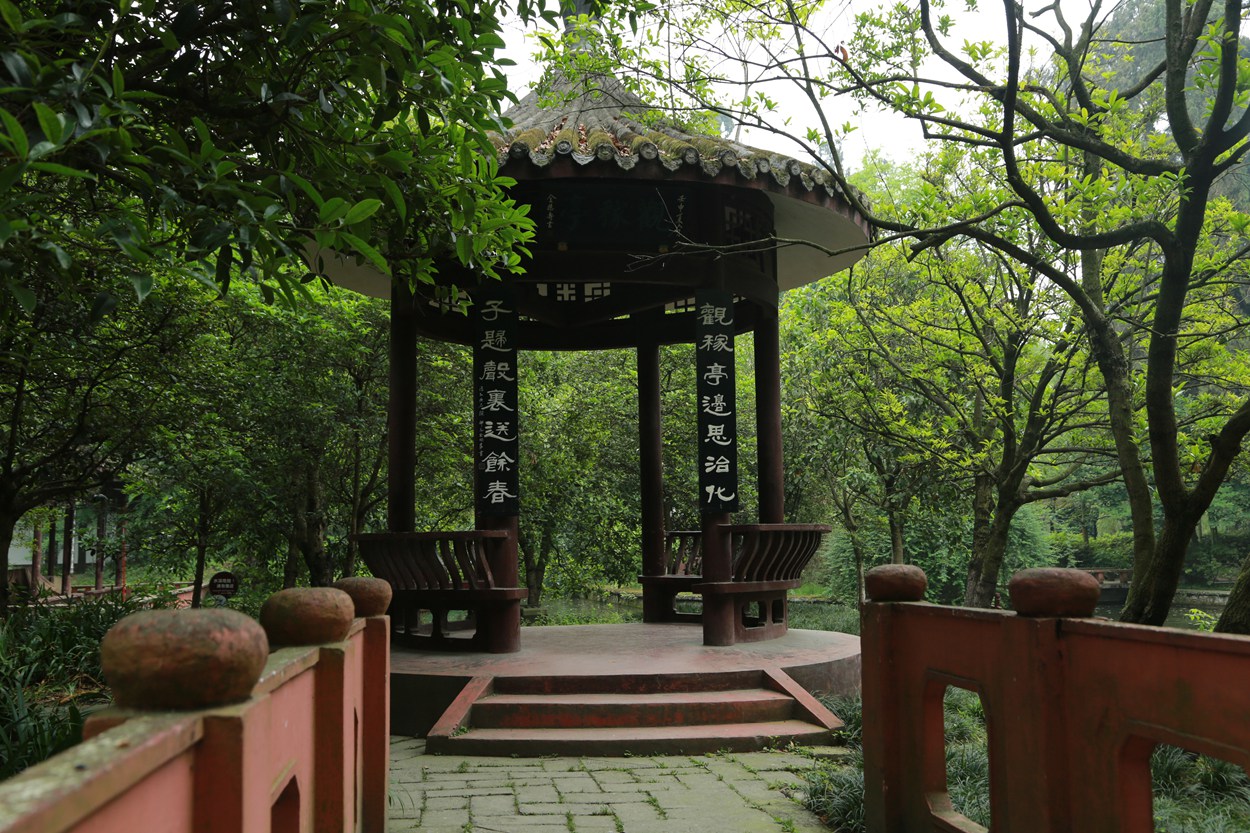 FU2A0012.JPG