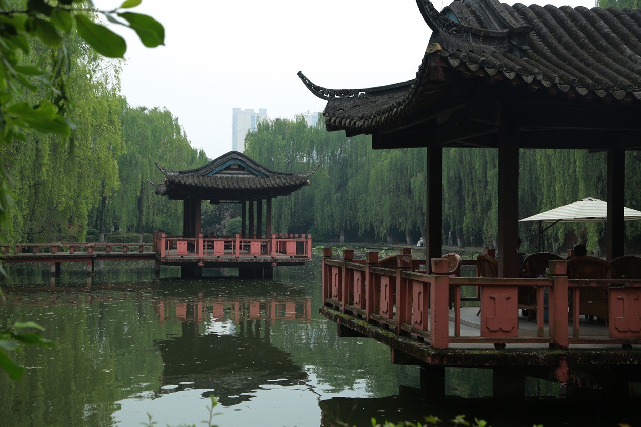FU2A0013.JPG