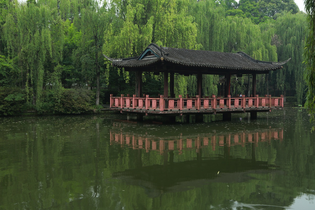 FU2A0015.JPG