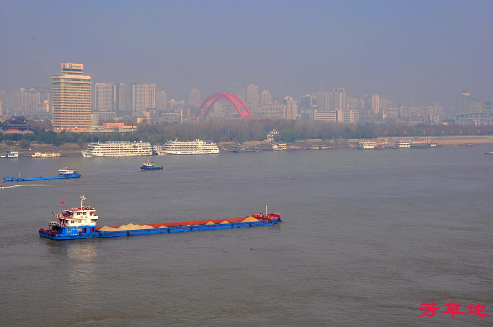 3=DSC_0733.jpg