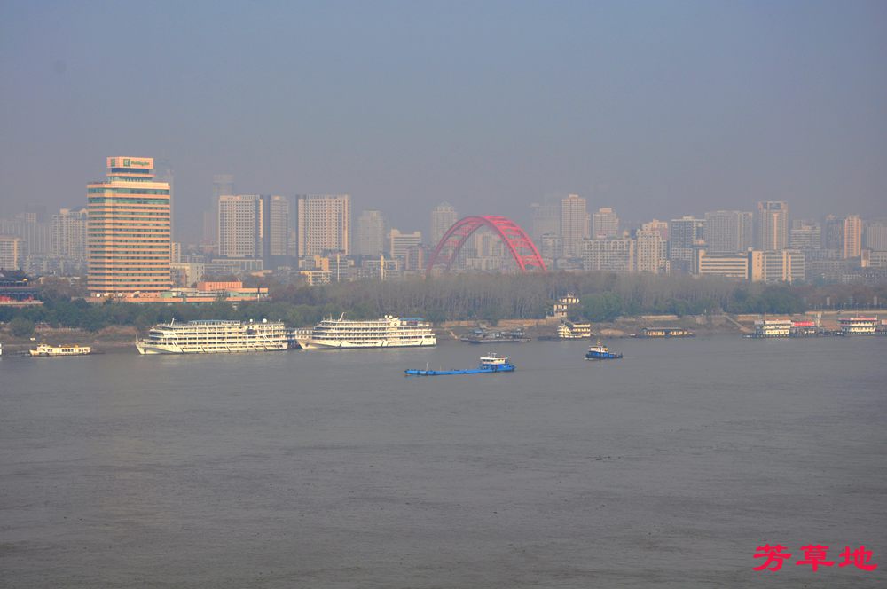 4=DSC_0728.jpg