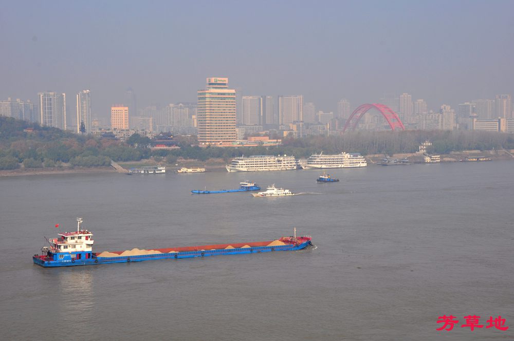 DSC_0732.jpg
