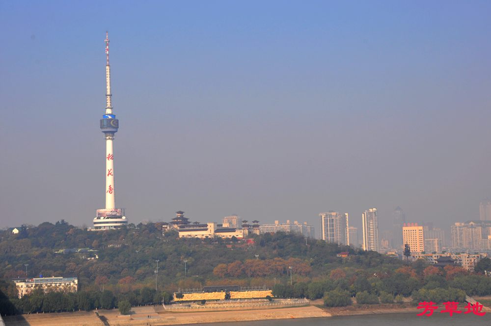DSC_0737.jpg