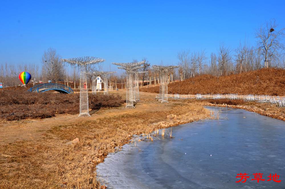 DSC_8846.jpg