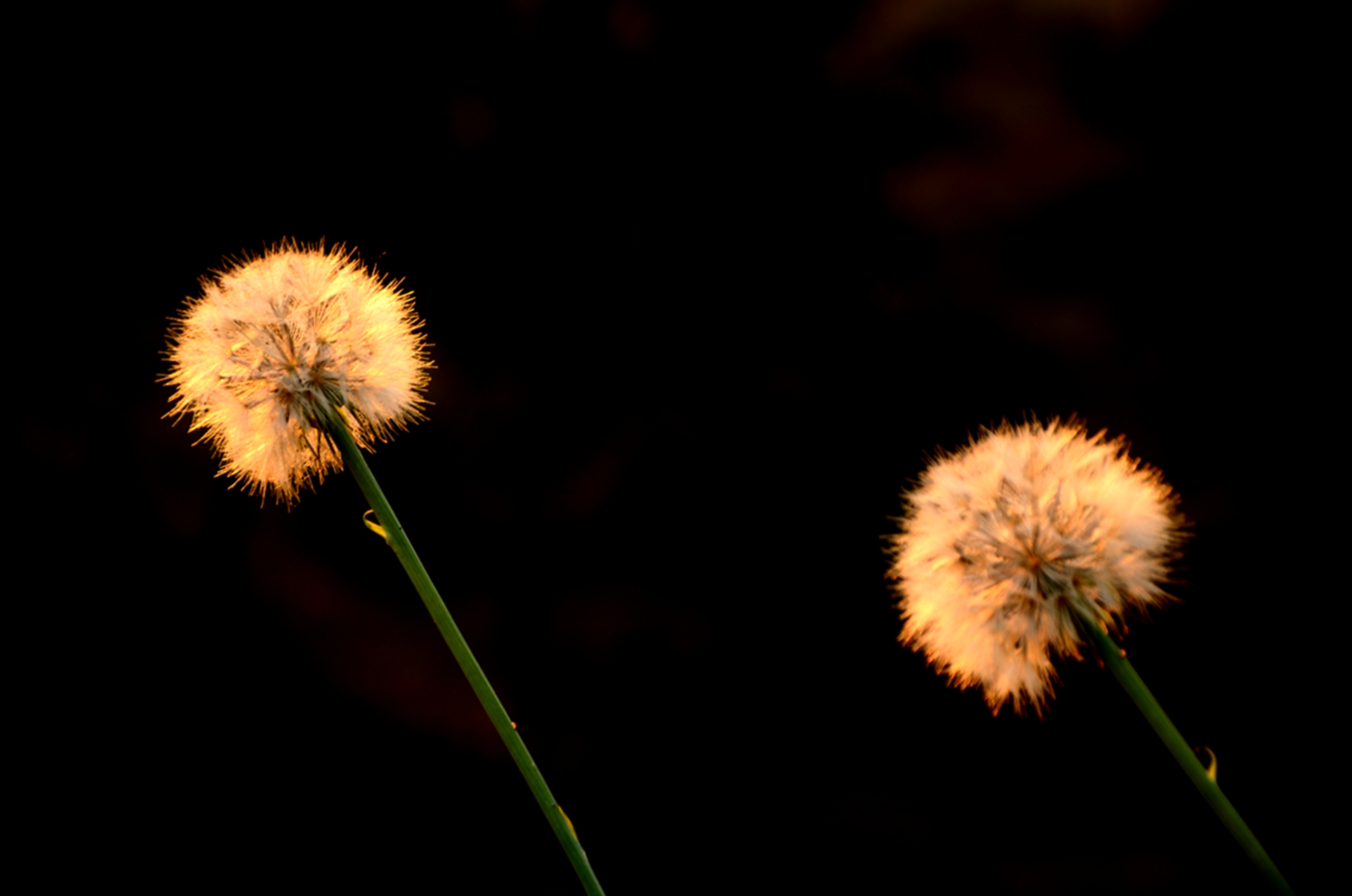 DSC_6068.JPG