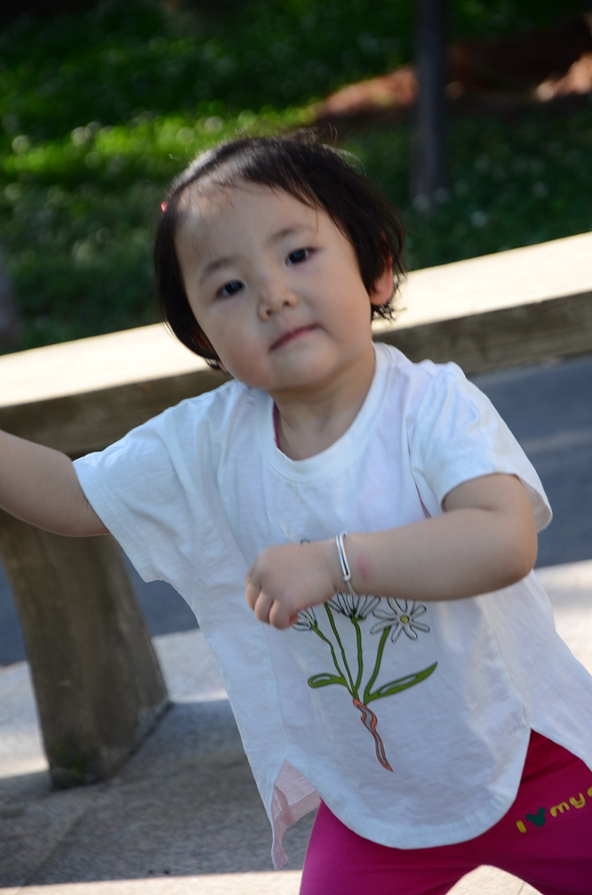 DSC_6530.JPG