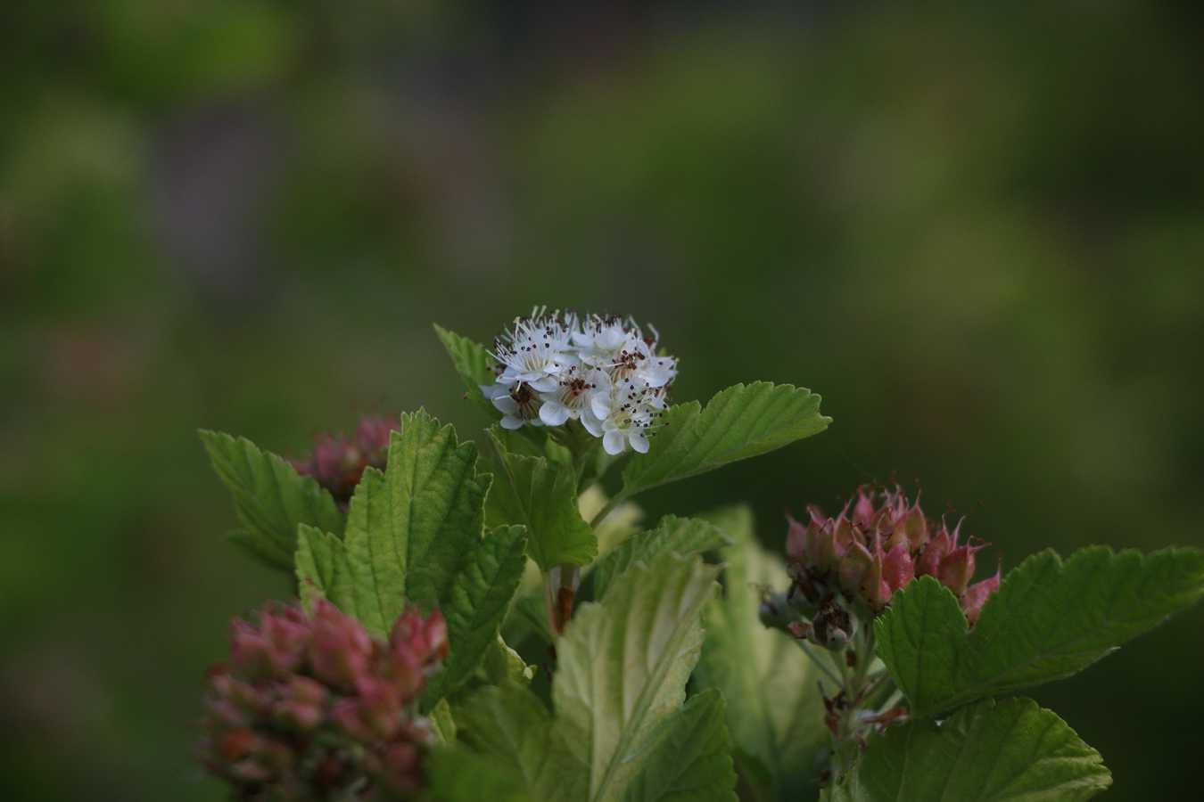 IMG_5880.JPG