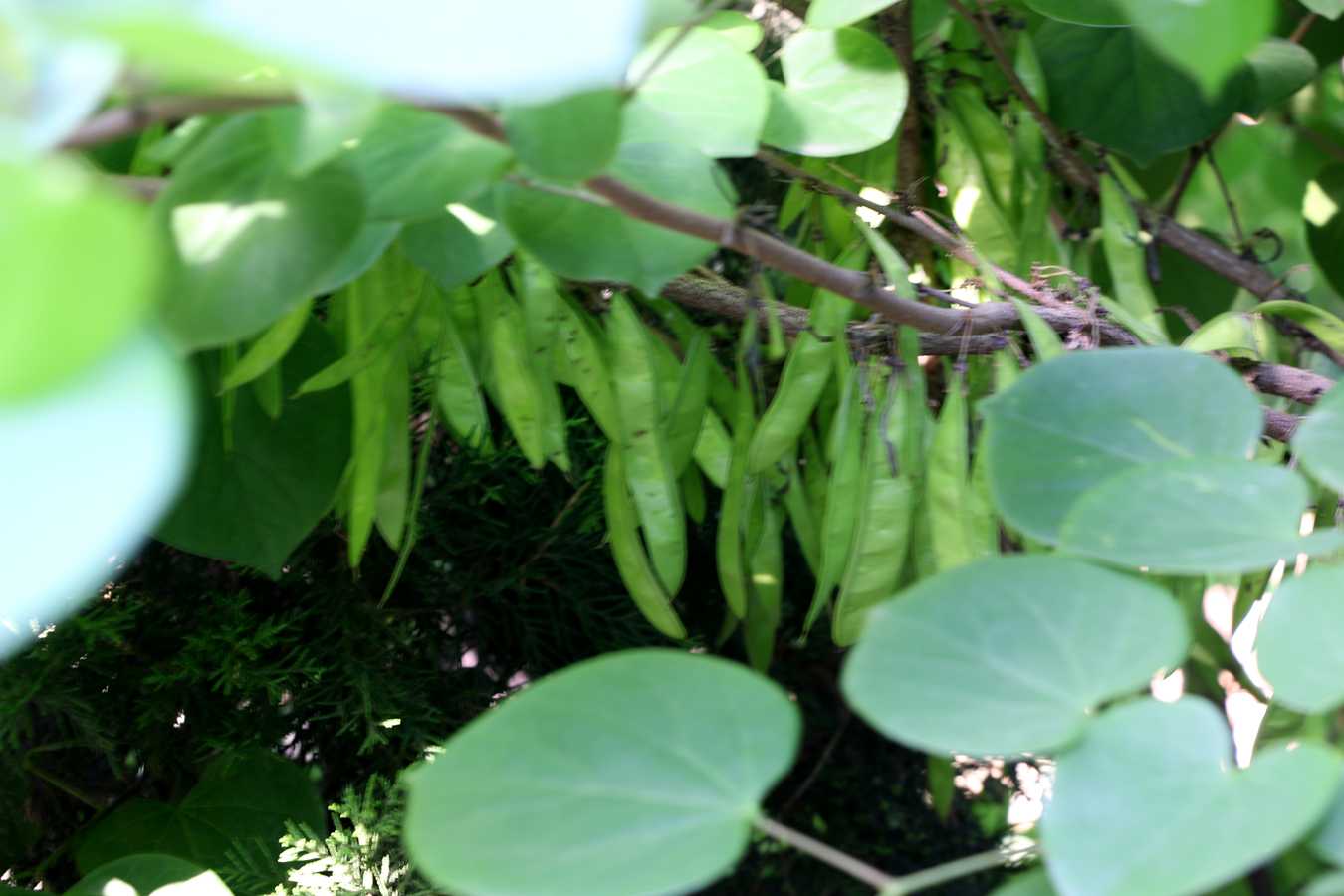 IMG_5892.JPG