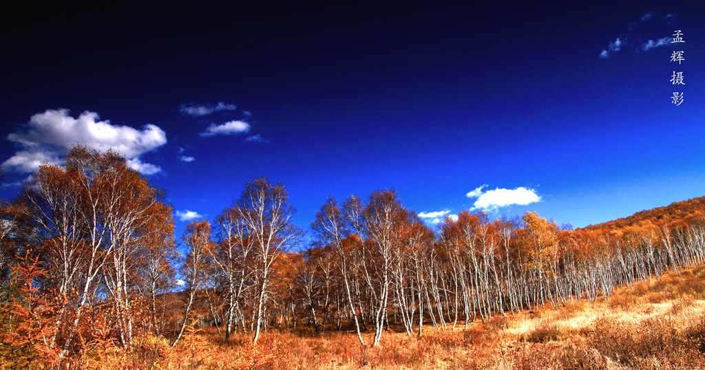 _MG_4378.JPG