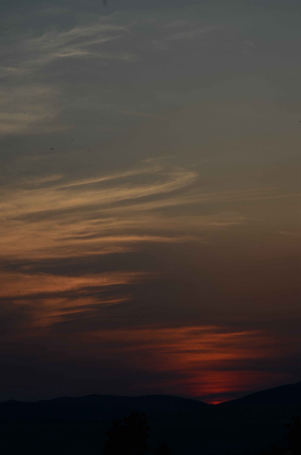 DSC_7906.JPG