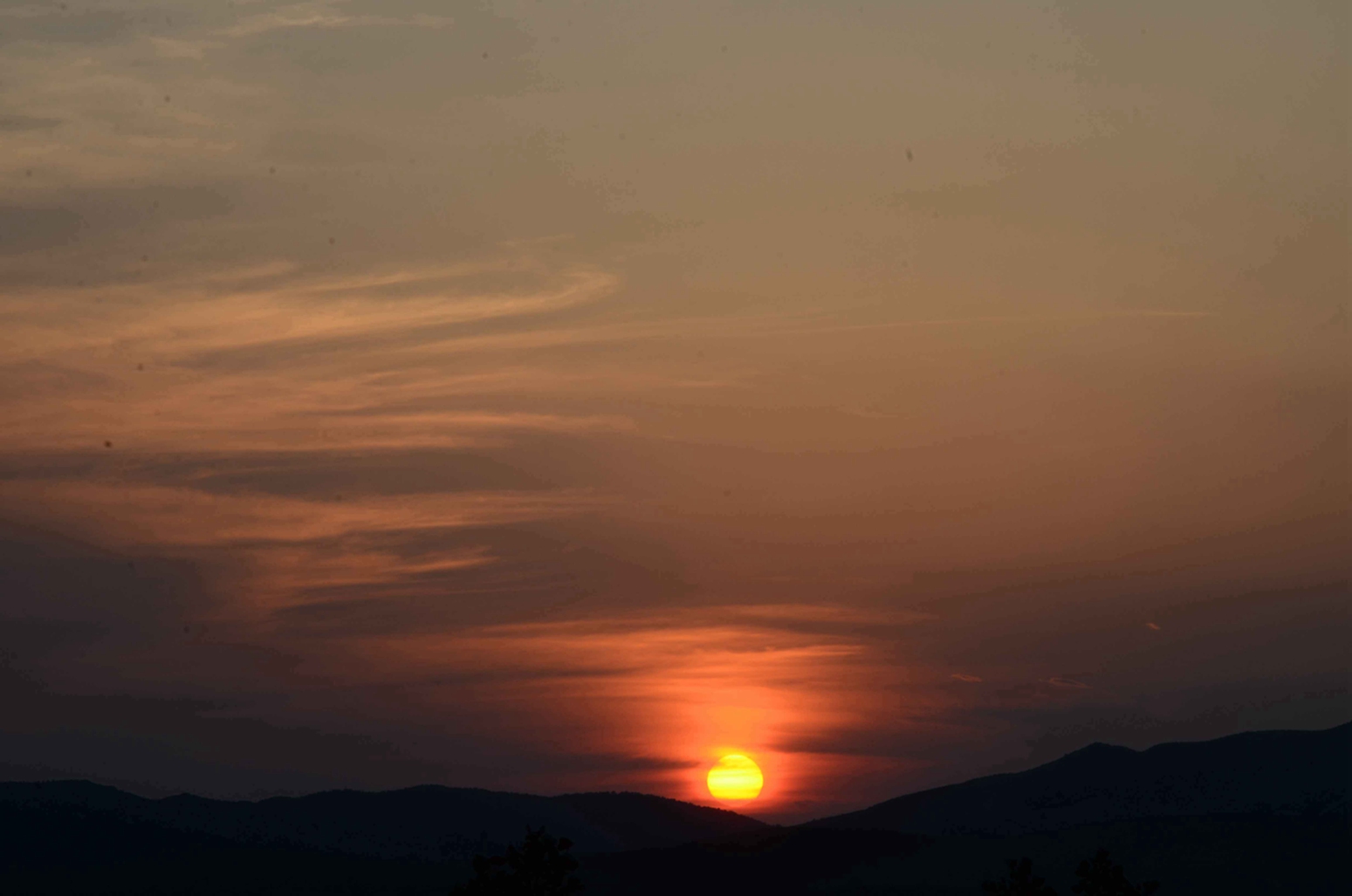 DSC_7897.JPG