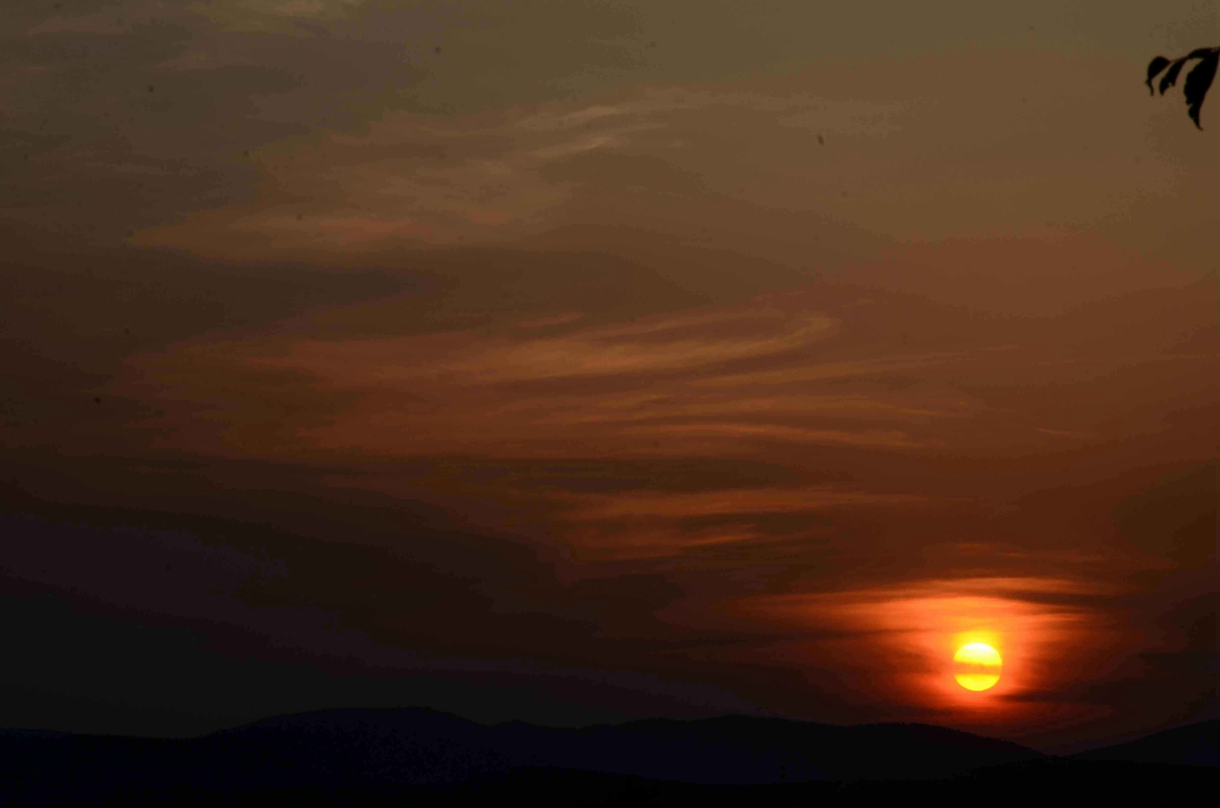 DSC_7892.JPG