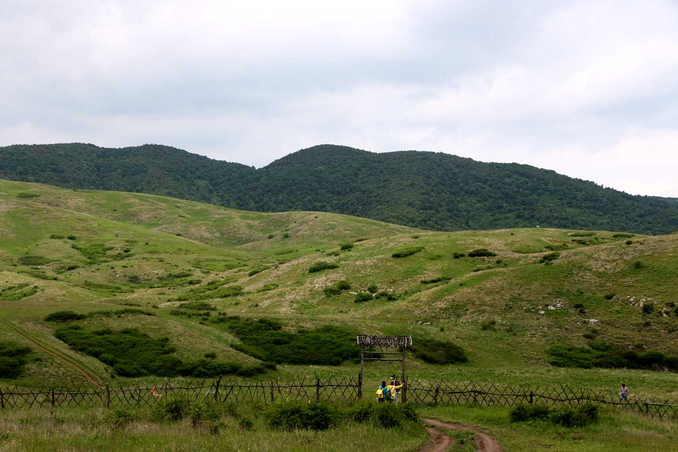 IMG_6693.JPG