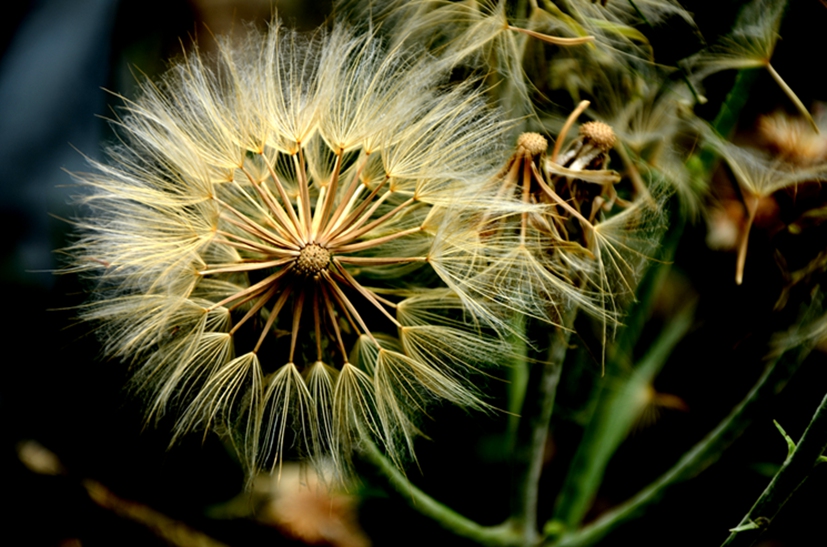 DSC_8394.JPG