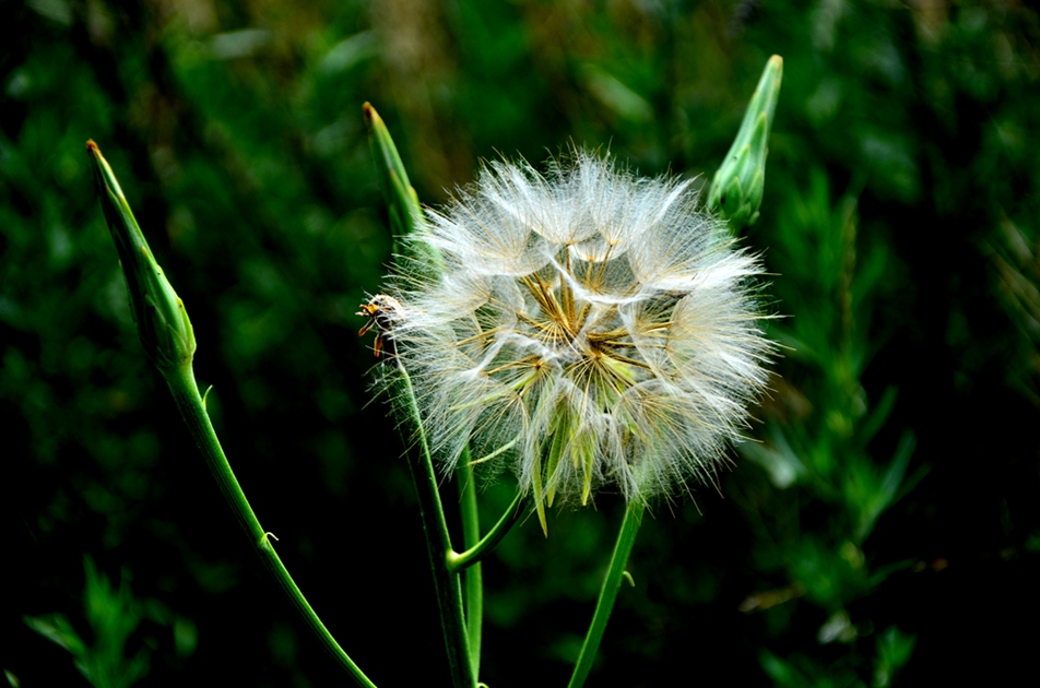 DSC_7703.JPG