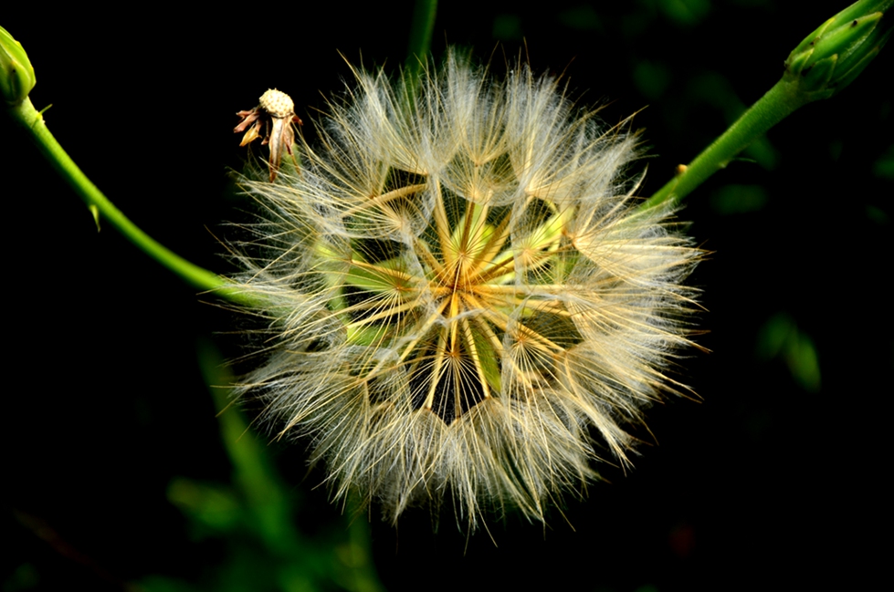 DSC_7707.JPG